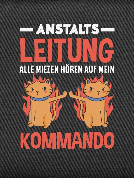 Anstaltsleitung Chef Leitung