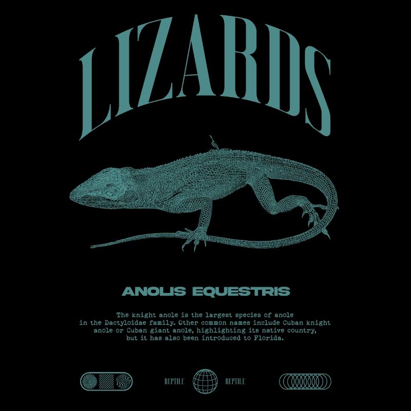 Cuban Knight Anole Reptile Keeper Lizard