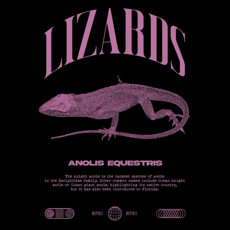 Cuban Knight Anole Reptile Keeper Lizard