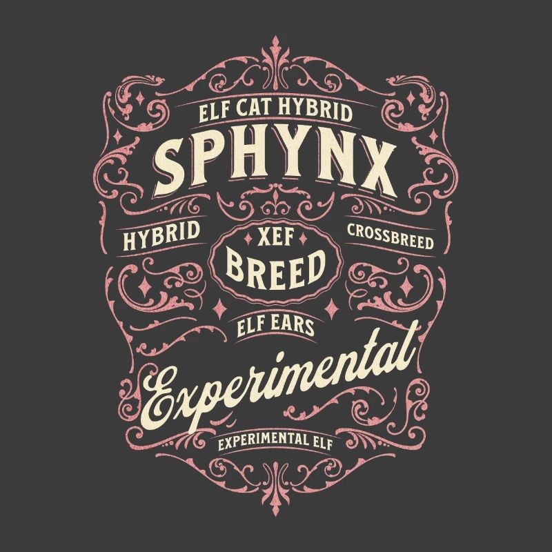 Elfe Sphynx Chat