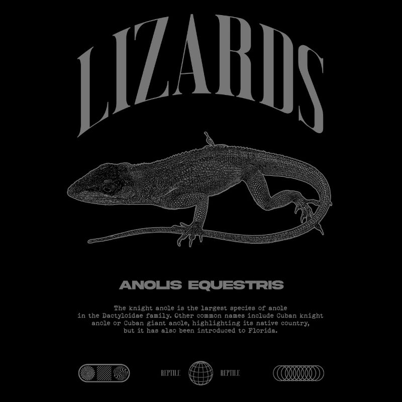 Cuban Knight Anole Reptile Keeper Lizard