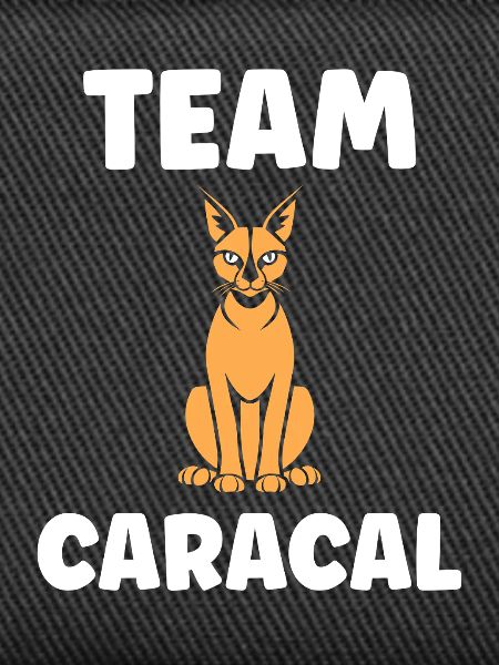 Caracal Team