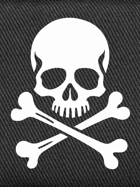 Classic Jolly Roger Skull
