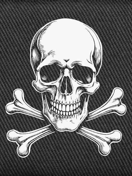Classic Jolly Roger Skull