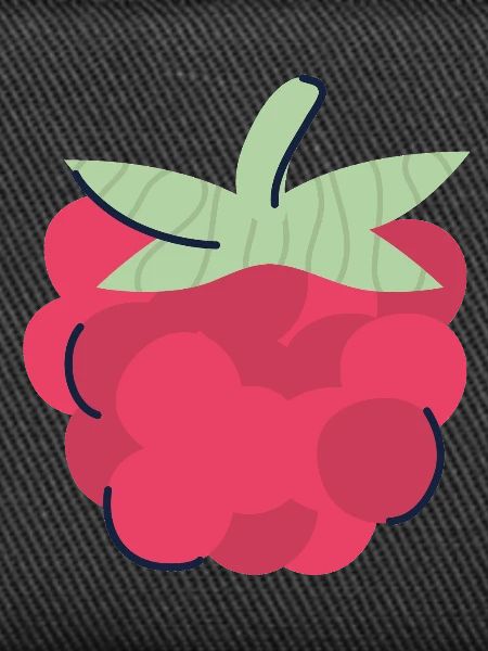 Raspberry Pop Art Berry