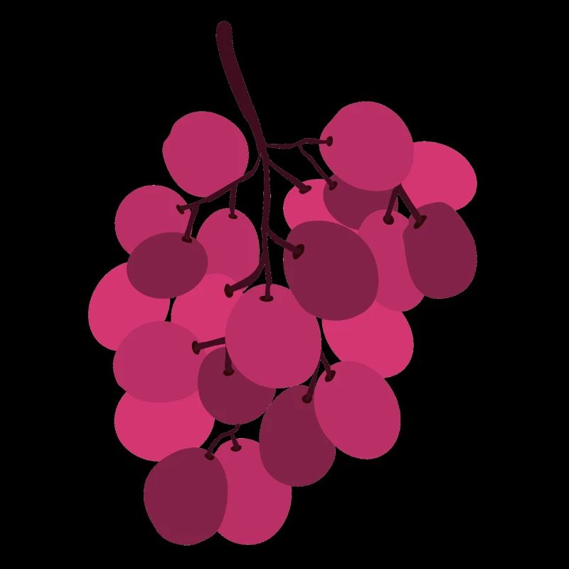 Vivid Pink Grapes Cluster