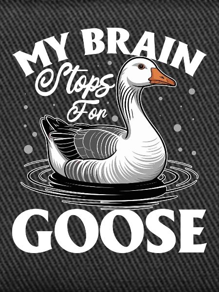 Funny Bird Goose
