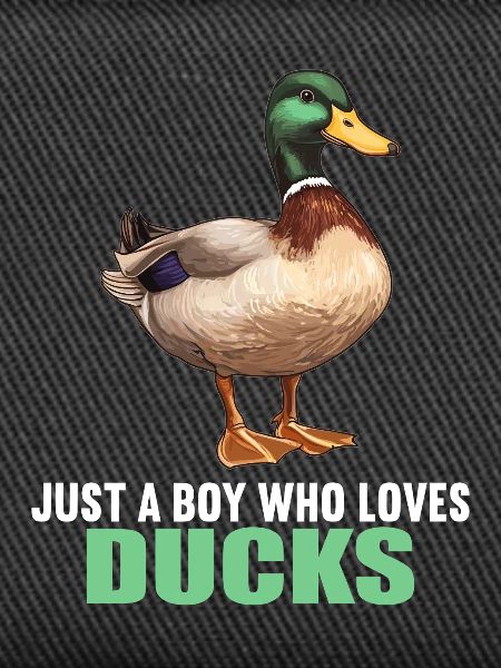 Ducks Duck