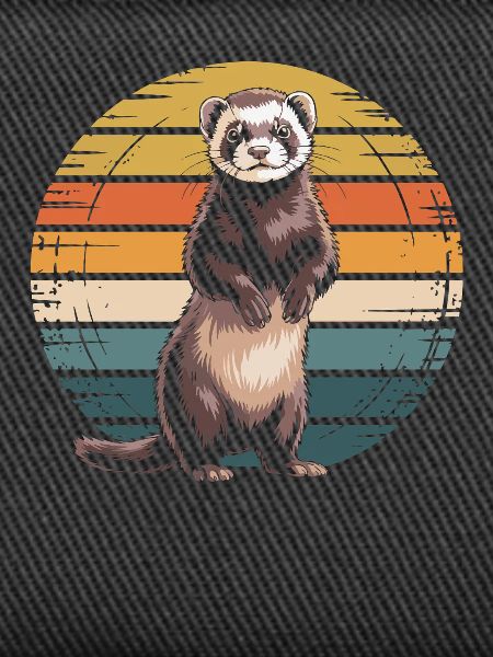 Furet