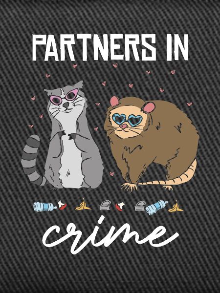 Partner in Crime Katzenduo