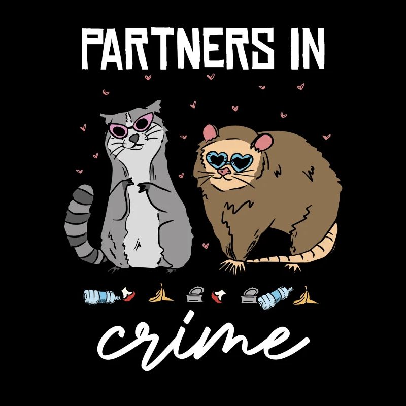 Partner in Crime Katzenduo