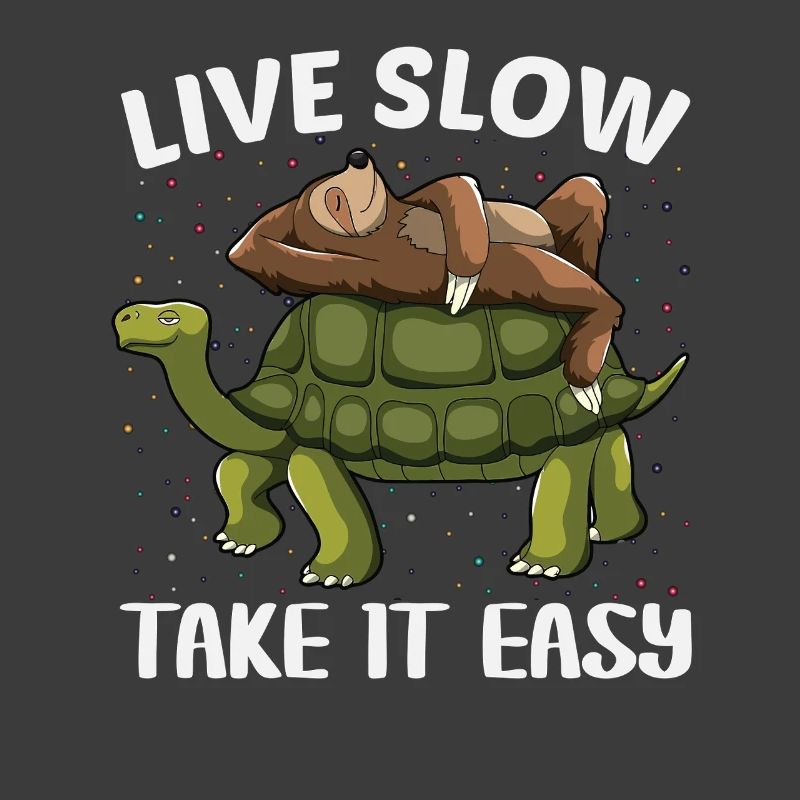 Schildkröte Faultier