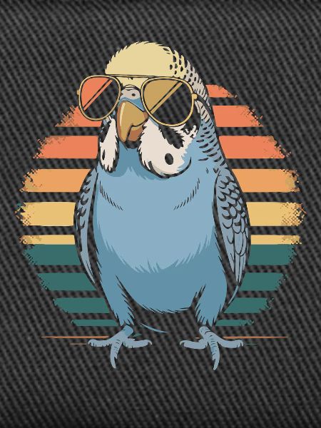 Budgerigar