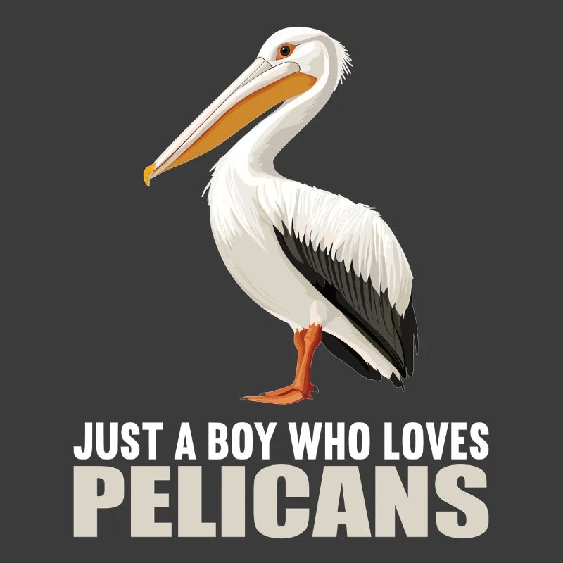 Pelikane Pelikan