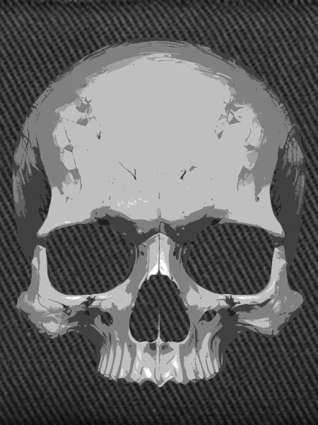 Skull Illustration