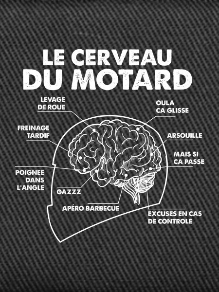 Cerveau Motard Anatomie