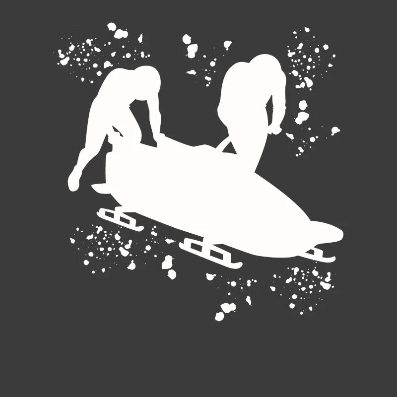 Bobsleigh Bobsleigh à deux