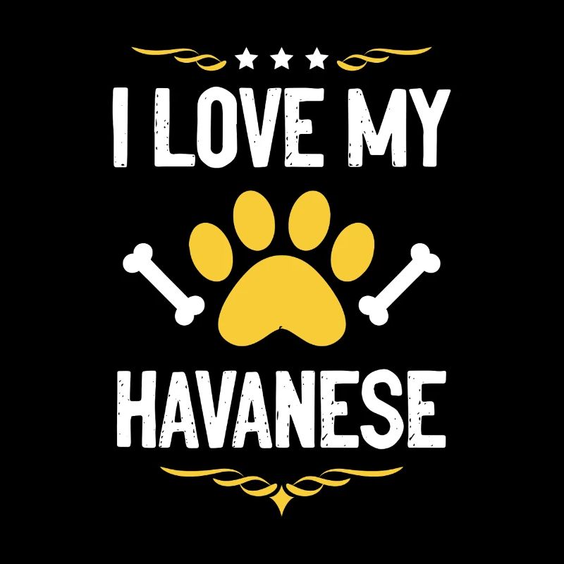 I love my Havanese