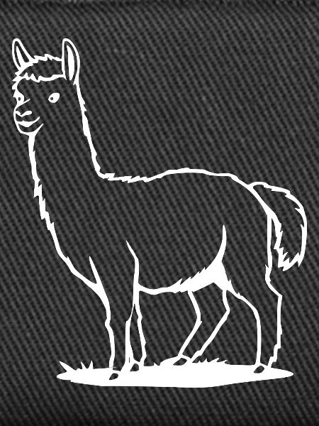 Alpaca T-shirt Gift