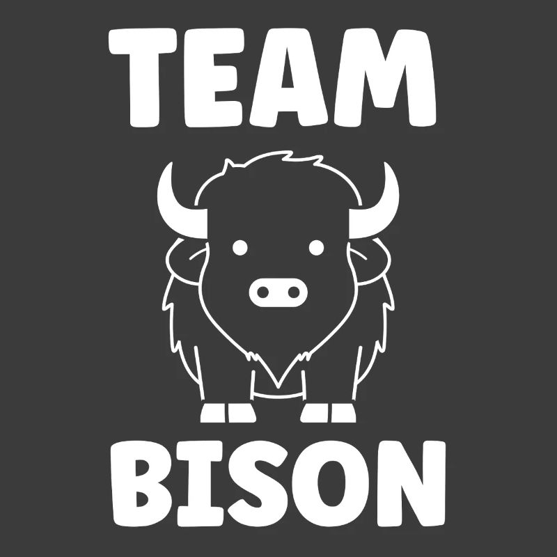 Bison