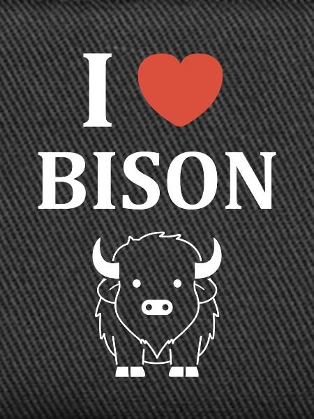 bison