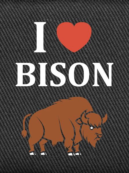 bison