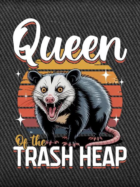 Funny Opossum