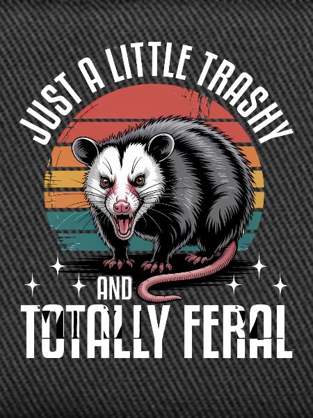 Funny Opossum