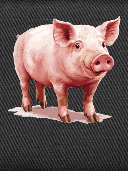 Cochon Cochon