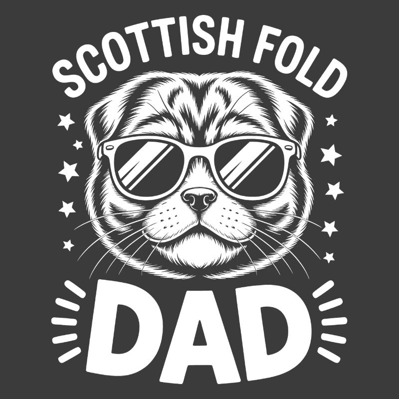 Scottish Folding Cats Scottish Fold Gift