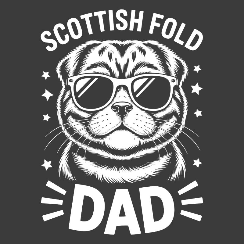 Scottish Folding Cats Scottish Fold Gift