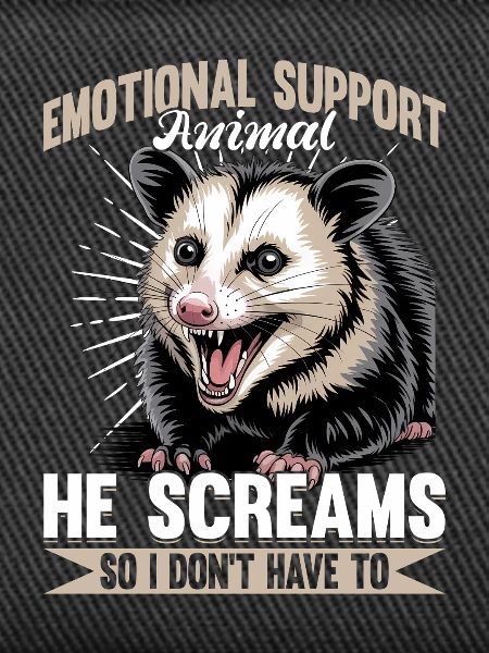 Funny Opossum