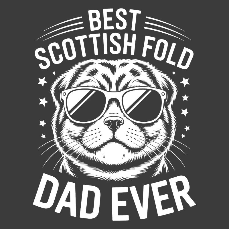 Scottish Folding Cats Scottish Fold Gift