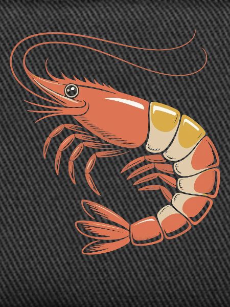 Red Shrimp Cartoon