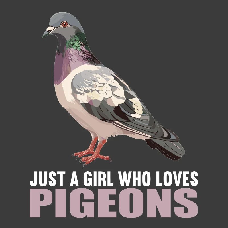 Pigeons Pigeon