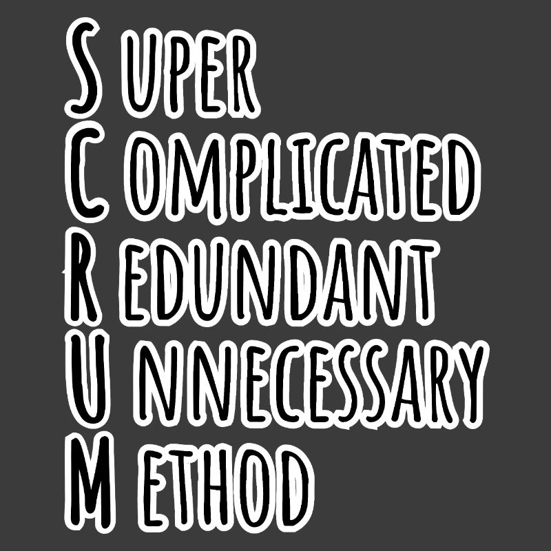 SCRUM Master has agilely developed the Daily Backlog Refinement