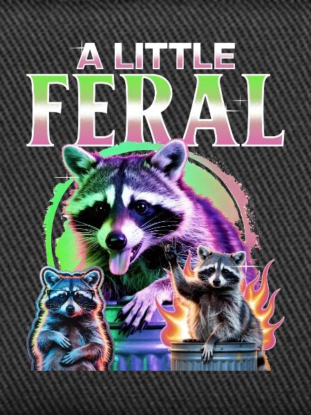 Funny Raccoon