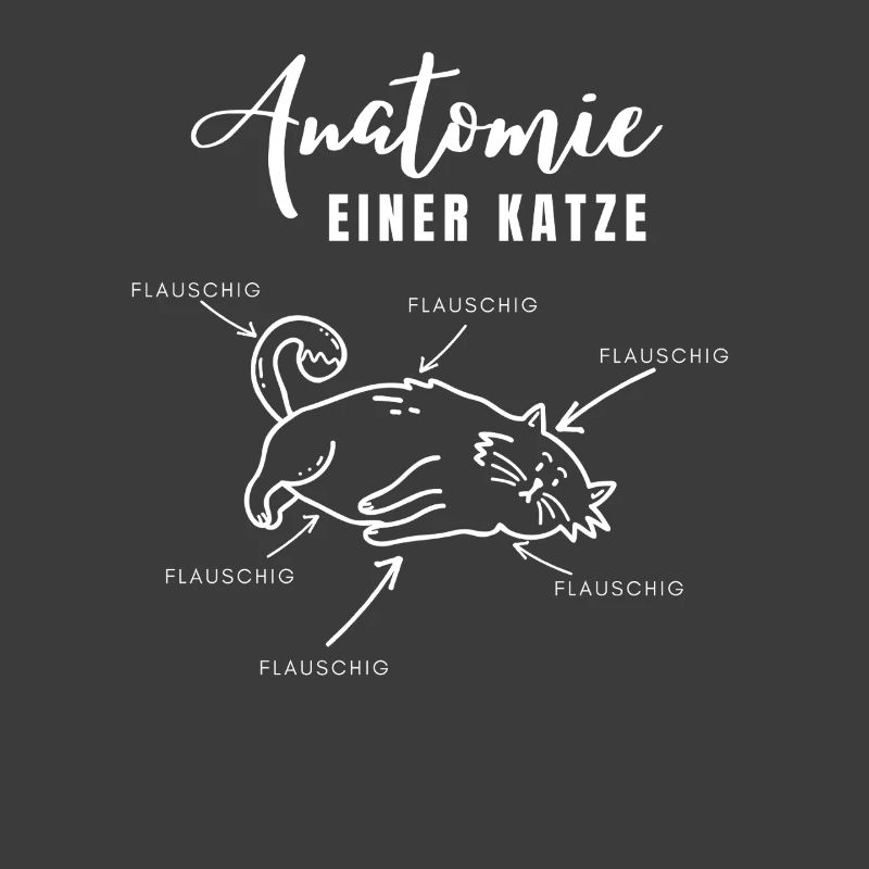 Anatomie einer Katze – alles flauschig