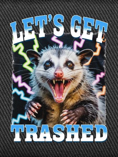 Drôle d’opossum