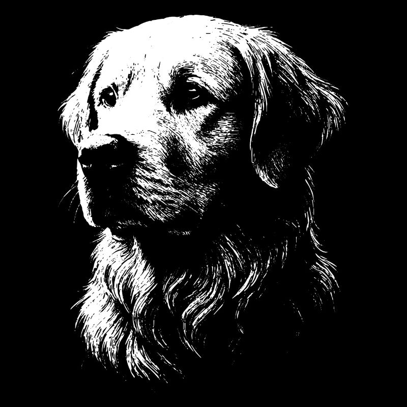 Porträt eines Golden Retrievers