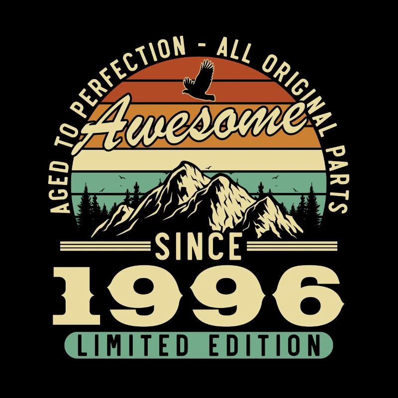 1996 Vintage Retro Birthday Gift
