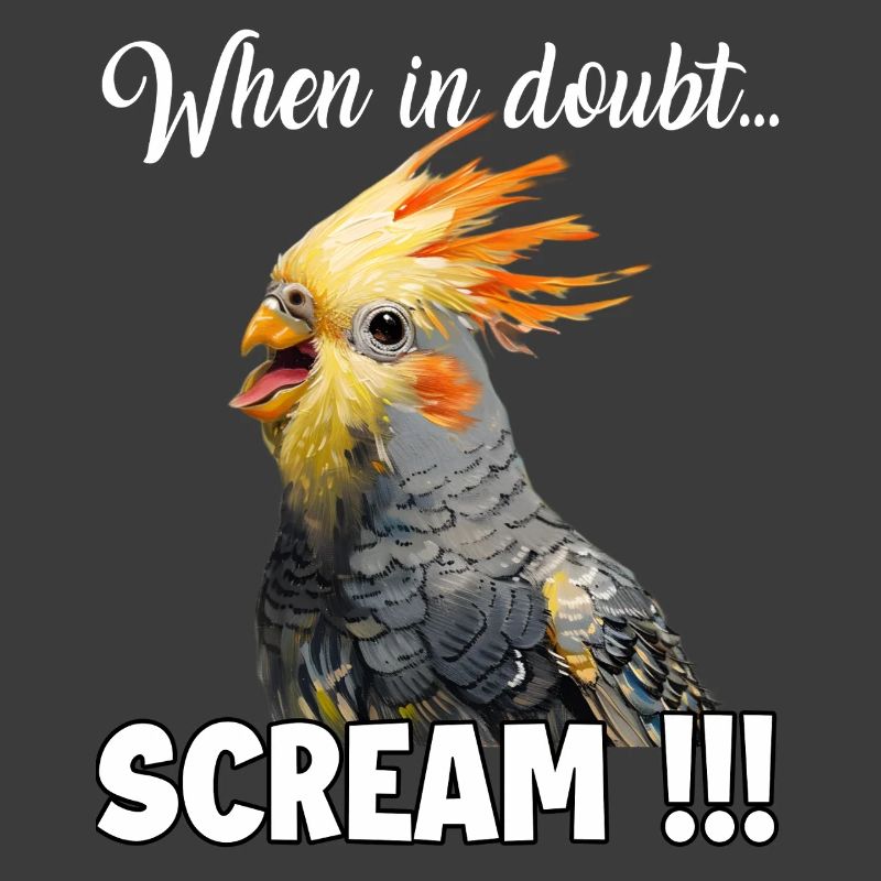 Dons créatifs : Porte-cacatoès et calopsitte