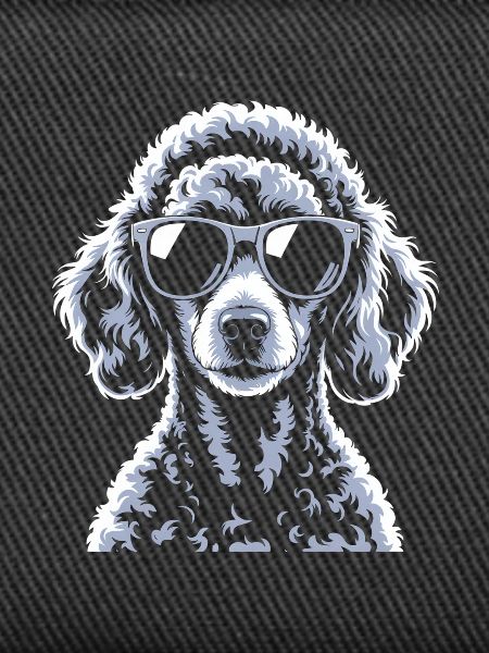 White Poodle