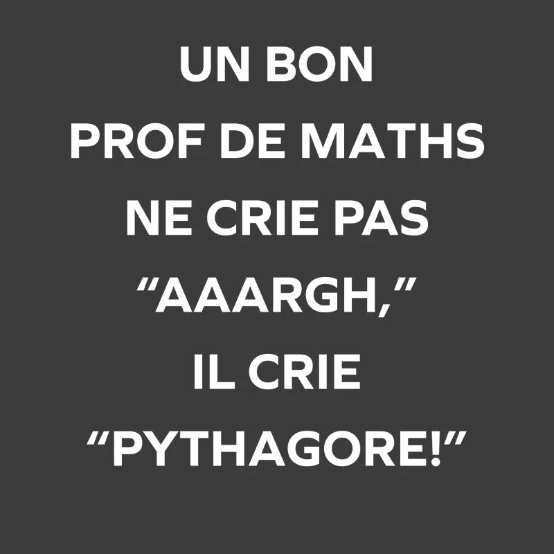 Prof de maths crie Pythagore
