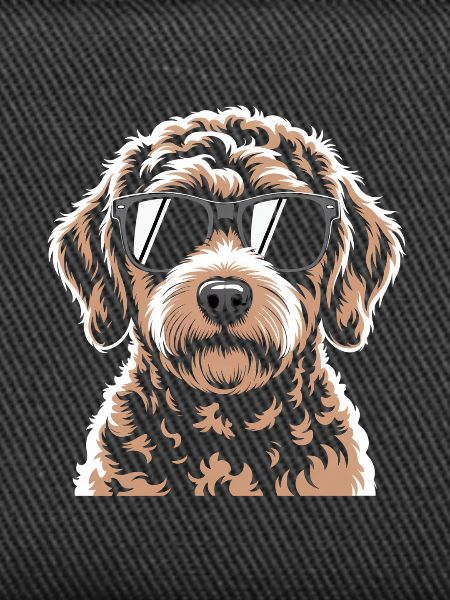 Brown Labradoodle