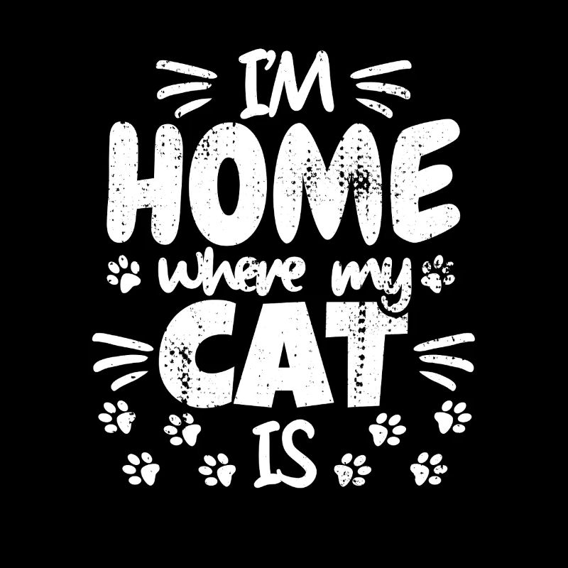 Je suis à la maison où est mon chat