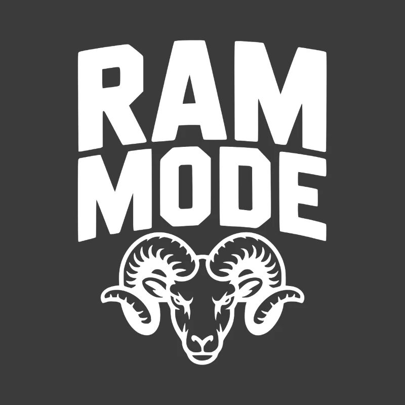 RAM-Modus