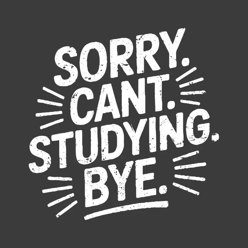 Sorry Can't Studying Bye