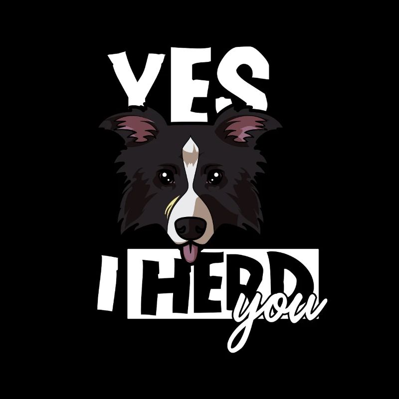 Ja, ich hüte dich, lustiger Border Collie Schäferhund