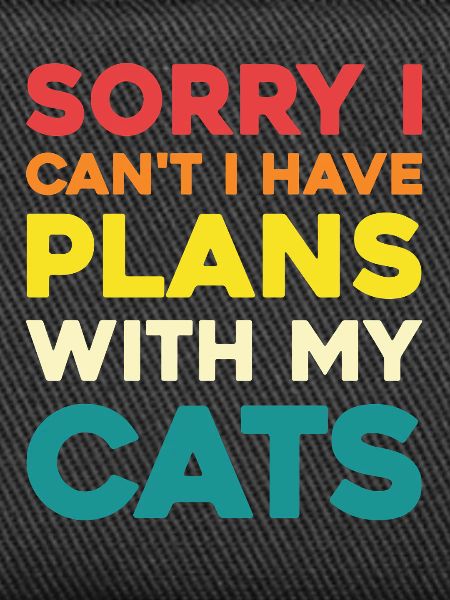 No plans without cats